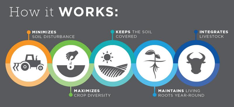 How regenerative ag works infographic